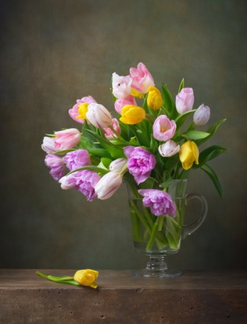 Постер «Натюрморт с тюльпанами в стеклянной кружке», 30 см х 40 см