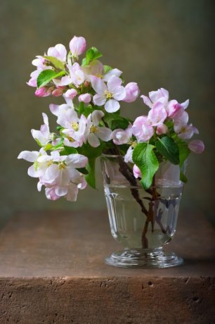 Постер «Натюрморт с веткой цветущей яблони», 30 см х 45 см