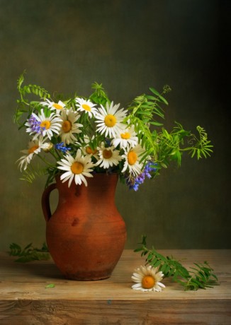 Постер «Натюрморт с ромашками в глиняном кувшине», 30 см х 40 см