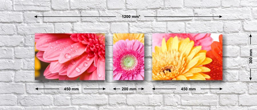 Триптих «Герберы после дождя»