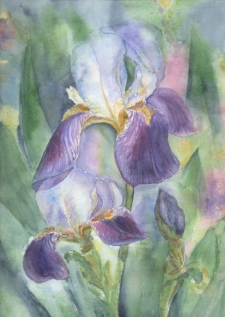 Постер - репродукция «Ирис», 25 см х 35 см