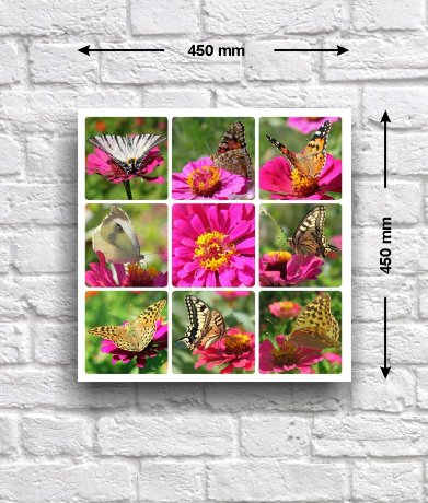 Постер - коллаж «Бабочки на циниях», 45 см х 45 см